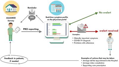 Physicians’ Perceptions of Clinical Utility of a Digital Health Tool for Electronic Patient-Reported Outcome Monitoring in Real-Life Hematology Practice. Evidence From the GIMEMA-ALLIANCE Platform